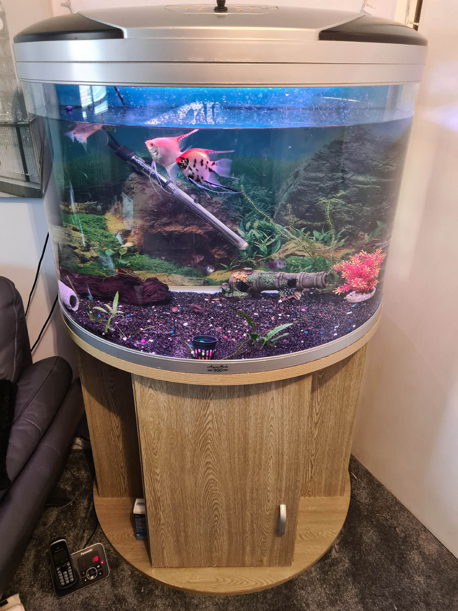 AquaMode 900 175 Litre Tropical Aquarium Fish Tank and cabinet. Wayne's AquaWorld