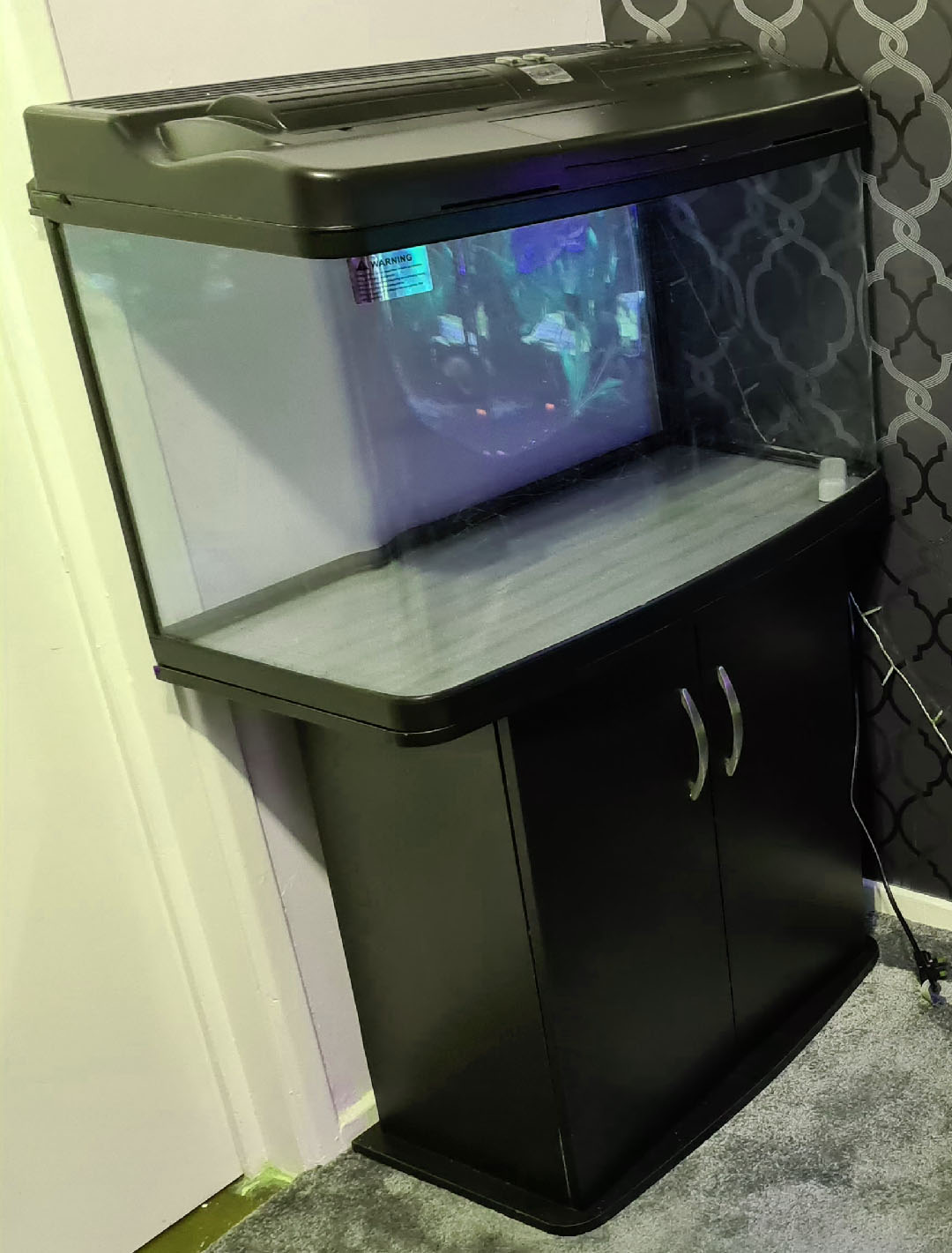 Interpet FISH POD Tropical Aquarium Fish Tank and cabinet. Wayne's AquaWorld
