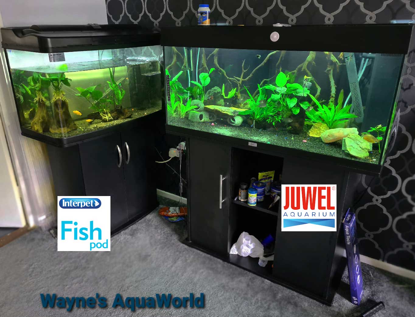 JUWEL RIO Tropical Aquarium Fish Tank and cabinet. Wayne's AquaWorld