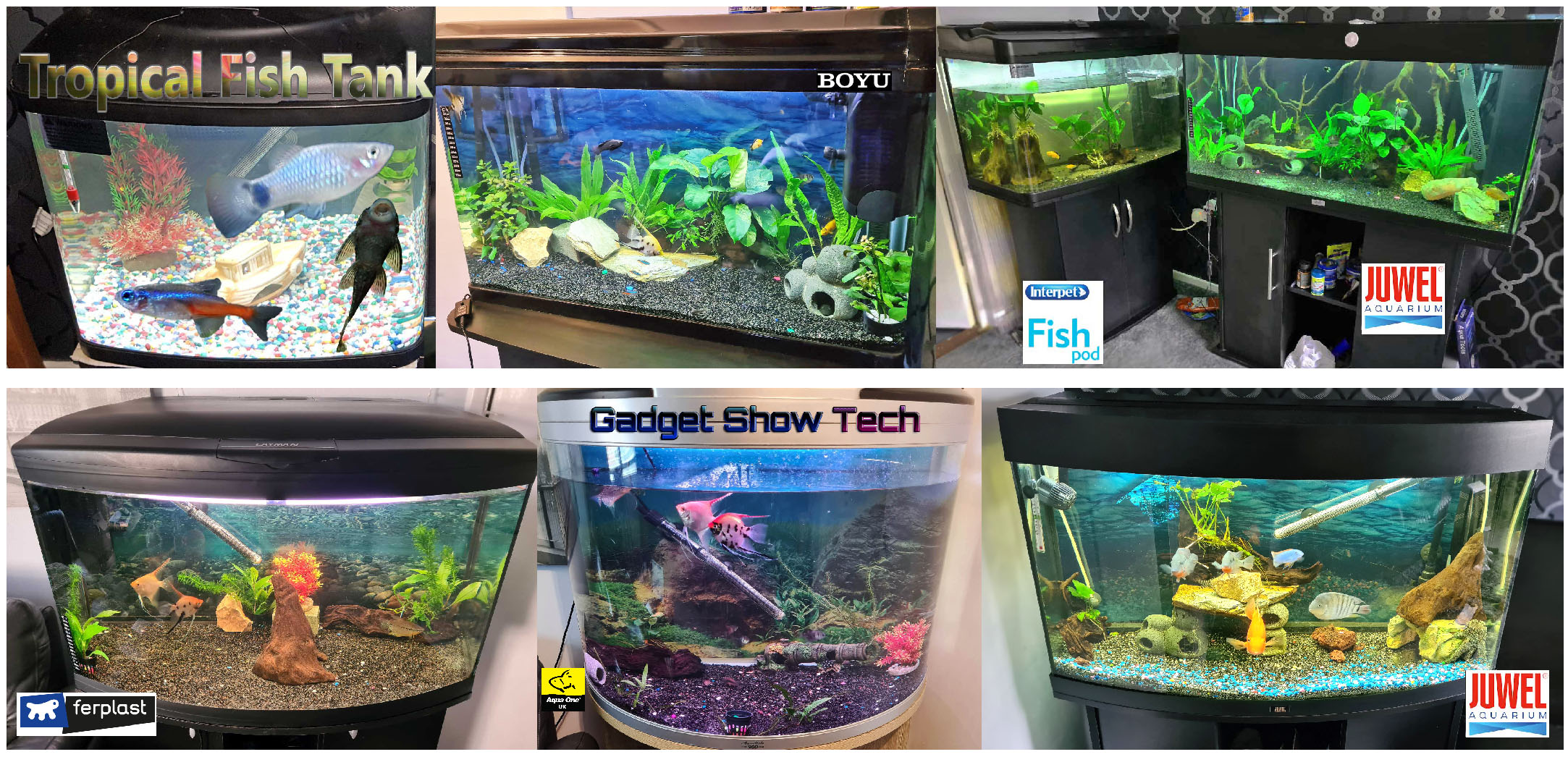Through Lockdown marketplace myself Aquariums Aquarium External Canister Filter.