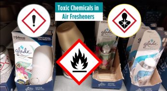 Uncovering the Toxic Truth: Is Your Air Freshener Causing More Harm Than Good?