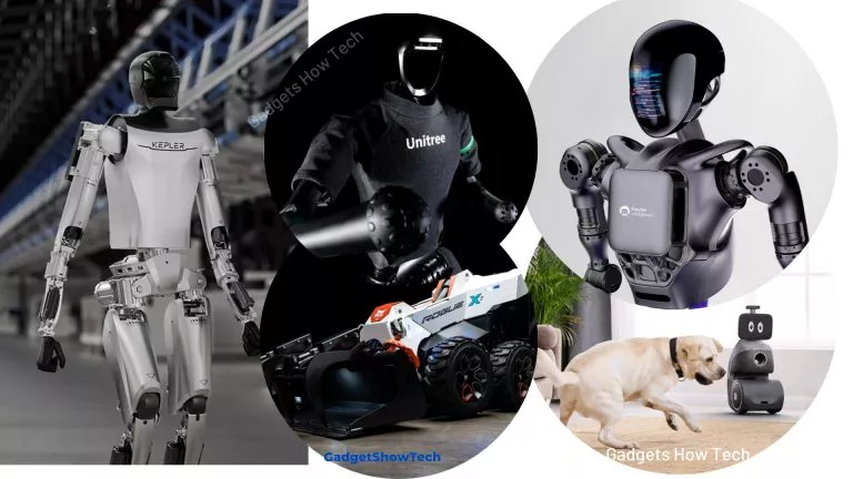 A New Dawn of Robotics: Exciting Robots Launched in 2024