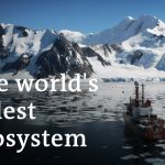 Antarctica: A message from another planet | DW Documentary