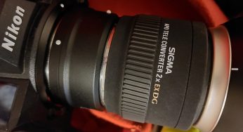 Sigma EX APO DG Tele Converter 2X on FX Nikon camera